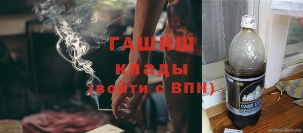 ГАЛЛЮЦИНОГЕННЫЕ ГРИБЫ Горно-Алтайск